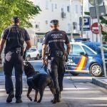 Agentes de la Policía Local y una patrulla de la Nacional en Torremolinos. AYUNTAMIENTO DE TORREMOLINOS