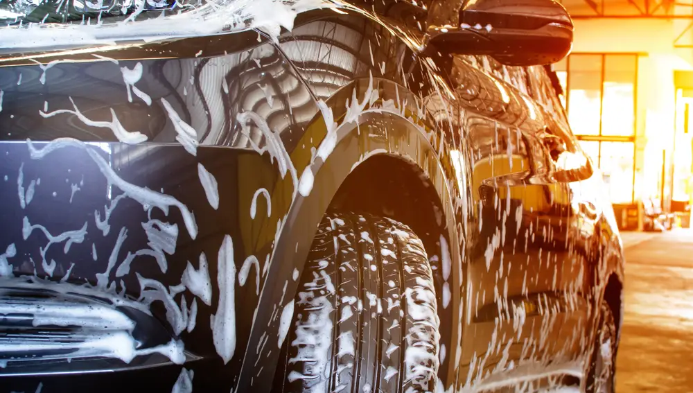 Durante el verano, es muy importante que retiremos cuanto antes el jabón para que no se sequen | Fuente: Dreamstime