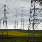 Tendido eléctrico