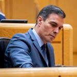 Bildu o las pesadillas de Sánchez