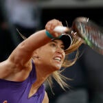 Paula Badosa, cabeza de serie número 4 en Wimbledon.