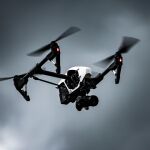 Ejemplar de dron