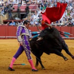 Manzanares, en Sevilla EFE/ Julio Muñoz