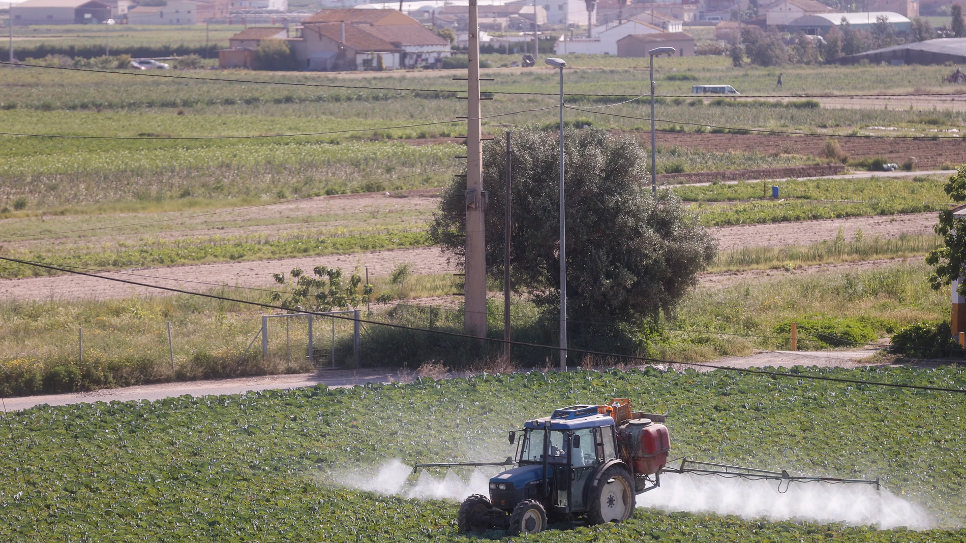 Un agricultor fumiga con su tractor un campo de hortalizas en el área metropolitana de Valencia