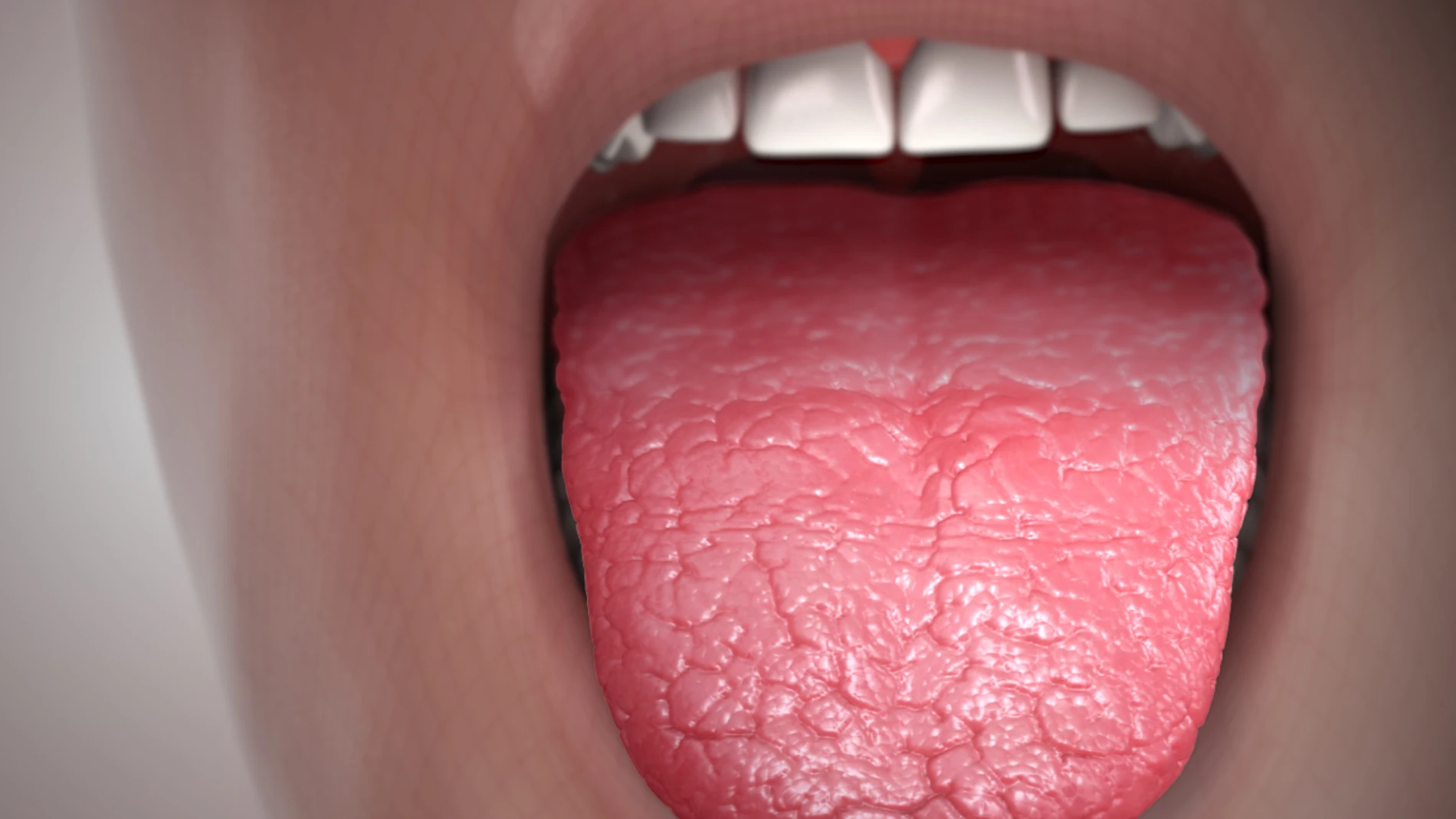 Lengua seca
