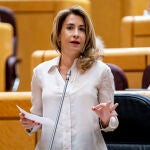 La ministra de Transportes, Movilidad y Agenda Urbana, Raquel Sánchez, interviene en una sesión de control al Gobierno