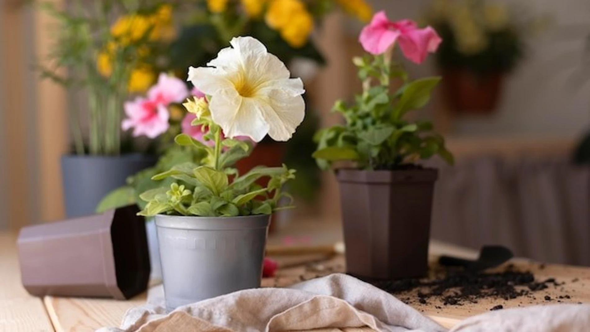 Maceteros para exterior