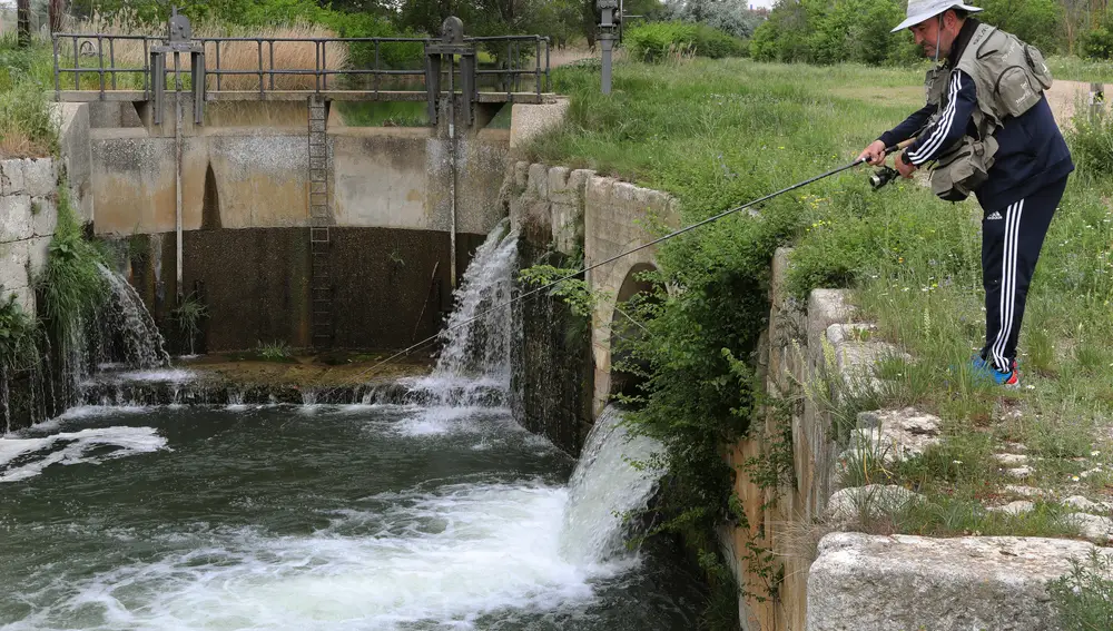 El pescador José Salazar en el Canal de Castilla en Palencia