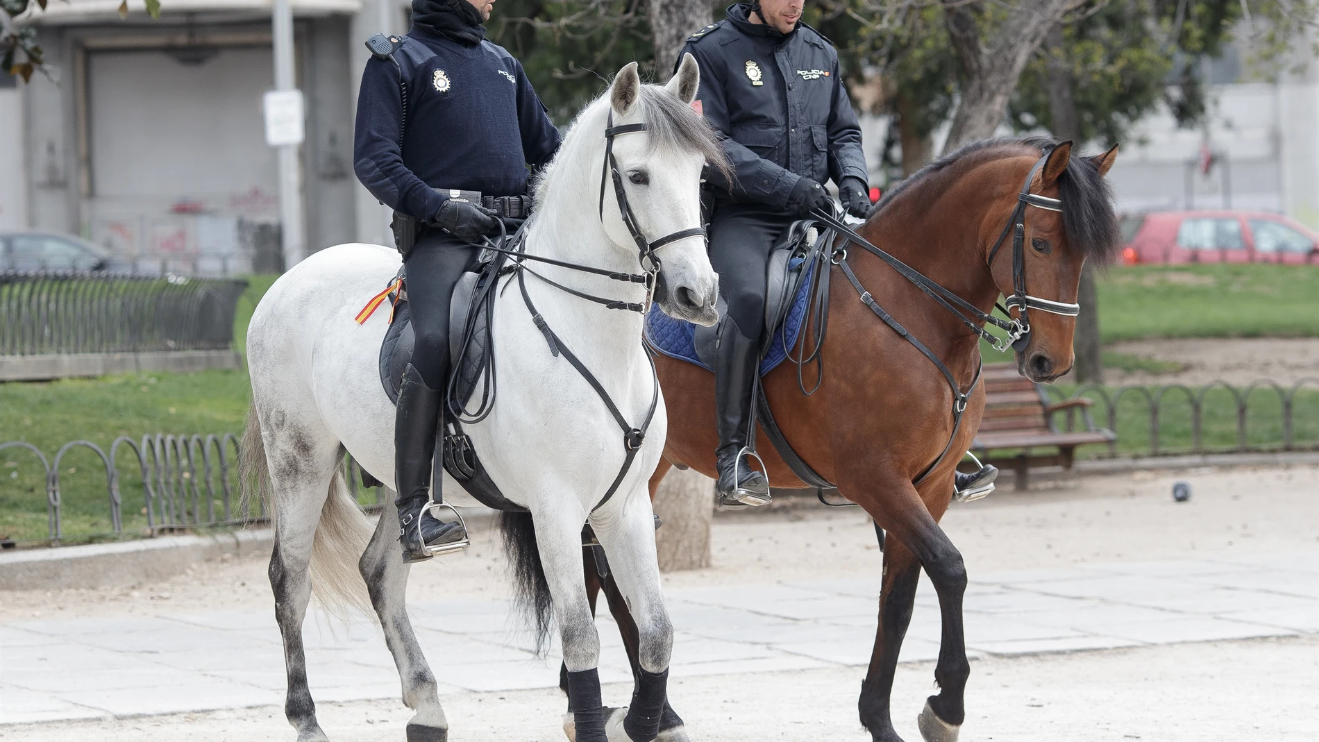 Agentes de caballería de la Policía Nacional. EUROPA PRESS