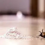 Tenemos a nuestra disposición un veneno casero capaz de liquidar a todas las cucarachas de nuestro hogar | Fuente: Dreamstime