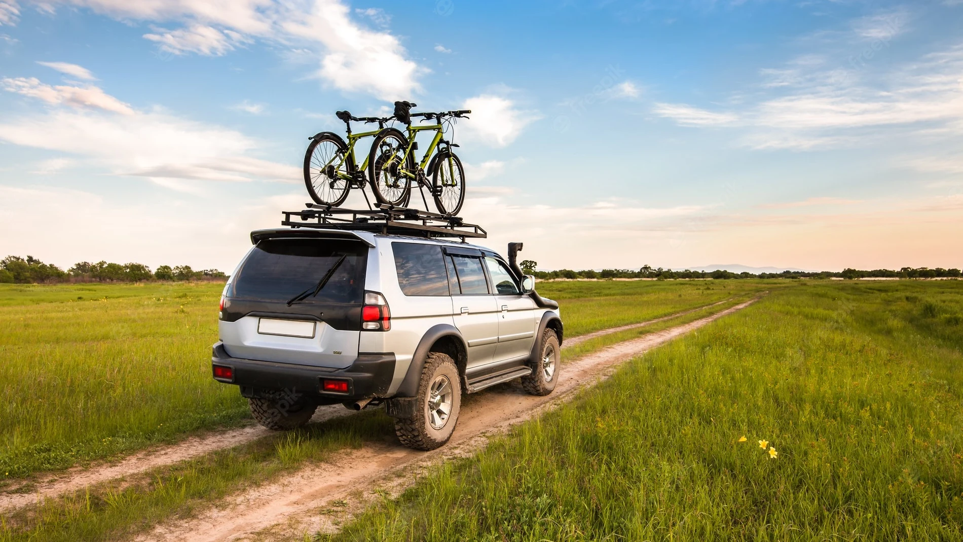 Portabicis para coches