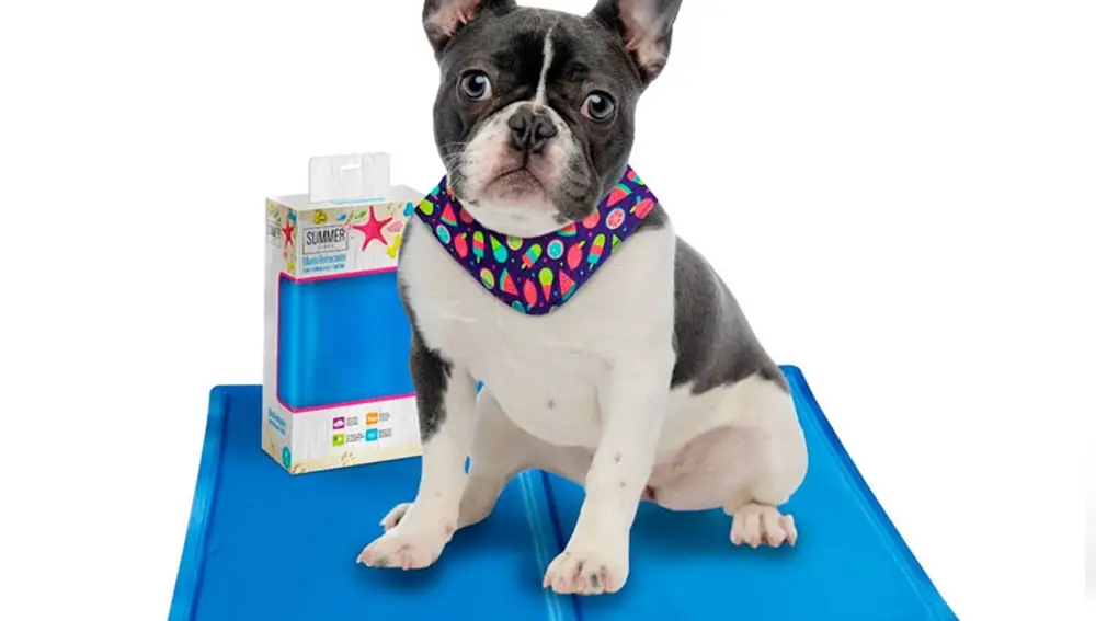 Alfombrilla refrescante para perros Summer Vibes Cool