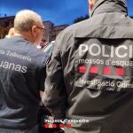 Agentes de los Mossos d'Esquadra y la Unidad de Vigilancia Aduanera de la Agencia Tributaria. Los Mossos d'Esquadra y la Unidad de Vigilancia Aduanera de la Agencia Tributaria han detenido a una cincuentena de personas en un operativo policial este martes contra un grupo que presuntamente cultivaba y traficaba con marihuana en Catalunya, han informado fuentes próximas a la investigación a Europa Press. ESPAÑA EUROPA CATALUÑA SOCIEDAD MOSSOS D'ESQUADRA