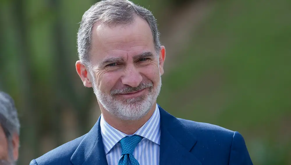 El rey Felipe VI en una imagen reciente