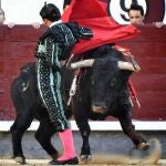 Toros