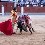 Pablo Aguado ayer en Las Ventas
