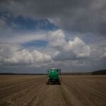 Vista de un campo de cultivo en una carretera en las inmediaciones de Kiev 27 de abril del 2022 en Kiev (Ucrania). Siete de cada diez hectáreas de Ucrania son parcelas agrarias, plantadas sobre todo con maíz, cereales y girasoles que sirven de alimento al mundo. Con el país en guerra y dificultades de exportación, la crisis ucraniana amenaza con llevar el hambre afuera de sus fronteras, según explica a EFE Pierre Vauthier, responsable de la FAO en Ucrania. EFE/ MIGUEL GUTIÈRREZ