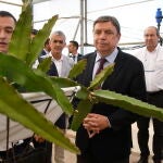 El ministro de Agricultura, Pesca y Alimentación, Luis Planas, durante la visita realizada esta semana a El Ejido (Almería) a la Estación Experimental "Las Palmerillas" de Cajamar