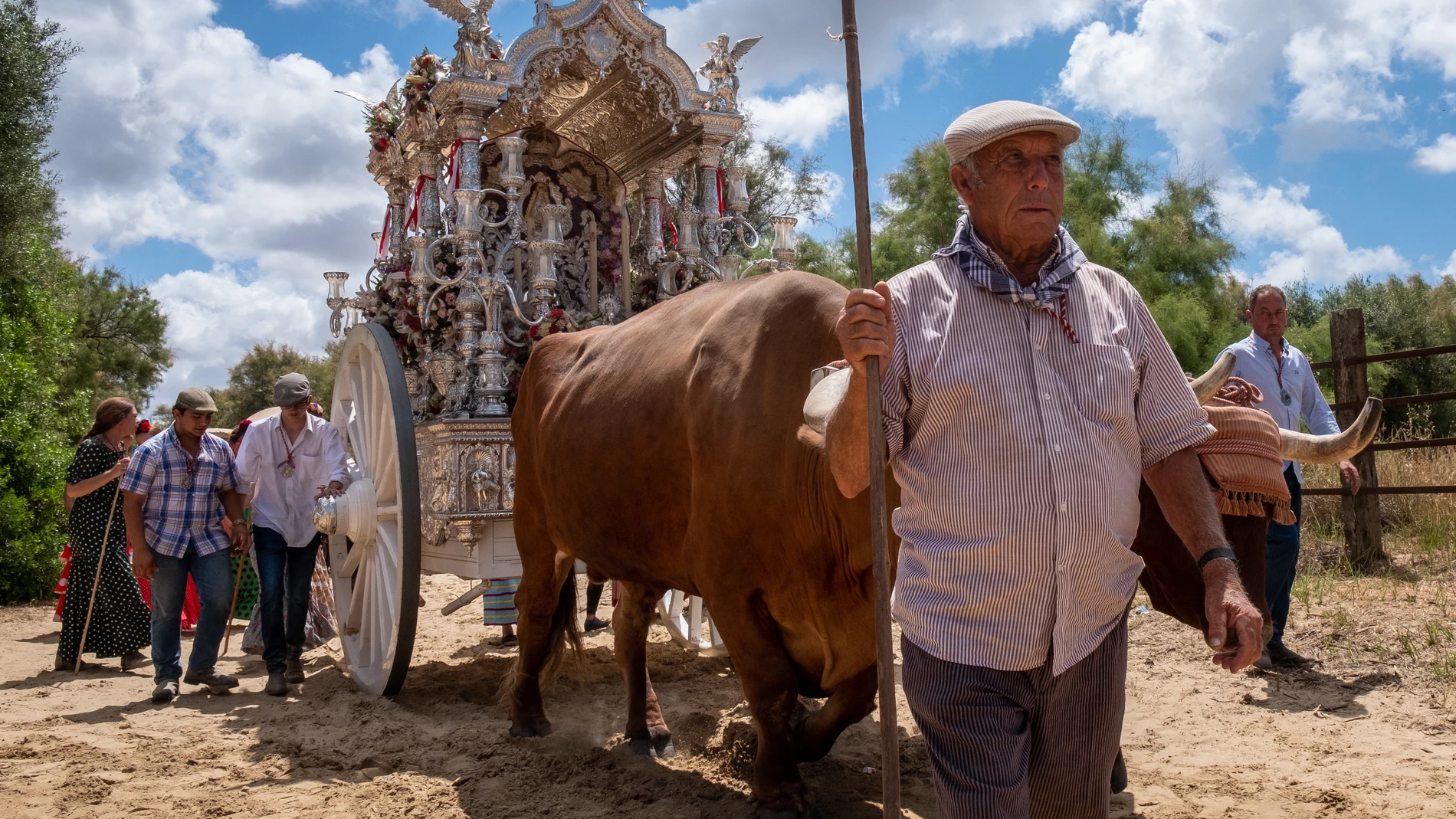 El bueyero conduce a sus bueyes que tiran del Simpecado de la Hermandad de Olivares (Sevilla) a su paso por el puente del Ajolí en el camino a la aldea almonteña de El Rocío. EFE/Julián Pérez