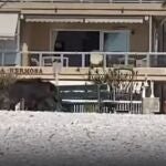 Un jabalí atemoriza a los bañistas de Alfàs del Pi