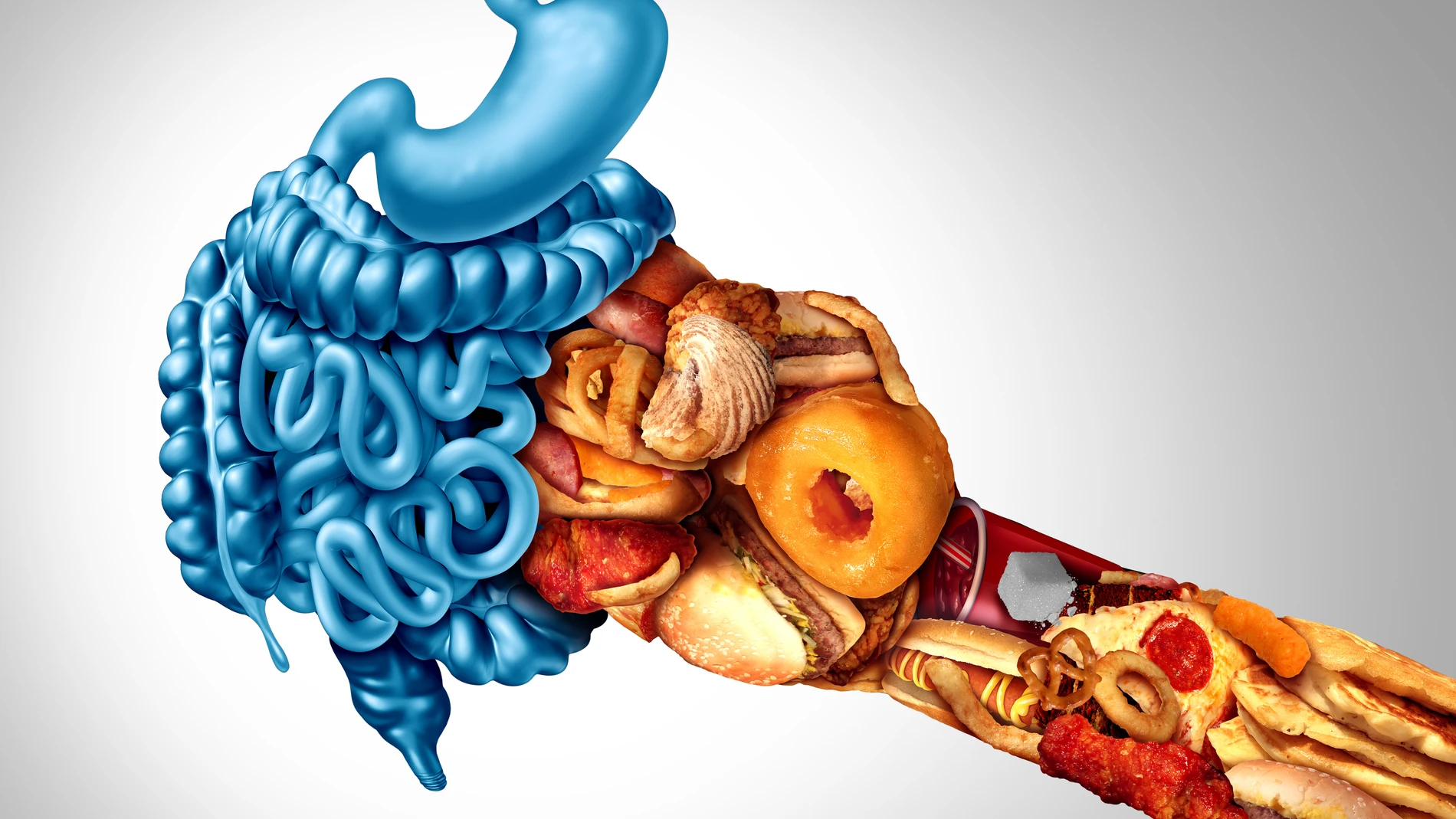 cuánto más procesado sea un alimento... más proinflamatorio será