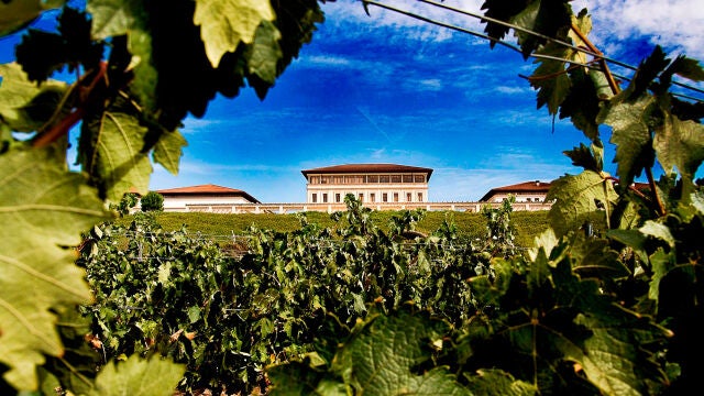 Bodegas Rioja Vega
