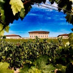 Bodegas Rioja Vega