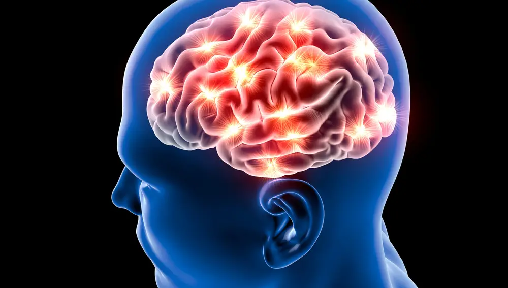Nuestro cerebro utiliza algunos "atajos" para filtrar información de utilidad | Fuente: Dreamstime