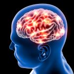 Nuestro cerebro utiliza algunos "atajos" para filtrar información de utilidad | Fuente: Dreamstime
