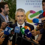 El ministro del Interior, Fernando Grande-Marlaska