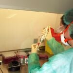 Una tecnico de laboratiorio del Hospital General de Valencia, centro de referencia en la región para la detección del virus de la viruela del mono