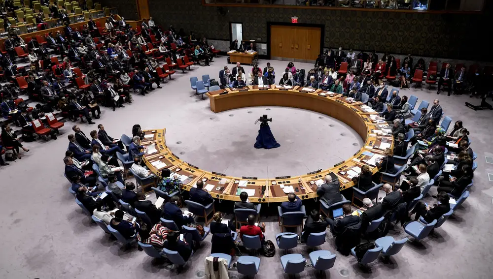 Consejo de Seguridad de la ONU