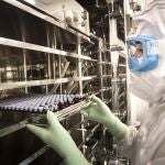 La tuberculosis es una de las enfermedades infecciosas que provoca más muertes