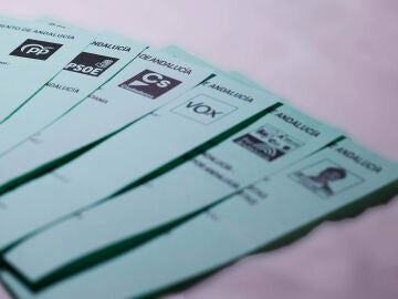 Detalle de las papeletas de los partidos pol&iacute;ticos de otra cita electoral anterior