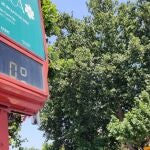 Un termómetro a 40 grados en Logroño