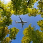 Ein Verkehrsflugzeug durchfliegt die Lücke im Blätterdach eines Laubwaldes im Sommer (All logos and legal identifiers are removed as you requestet)
