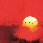 Mosquitos tigre, mosca negra, mosca del vinagre y vectores de virus como el aedes japonicus pueden transportar patógenos, contaminar superficies y alimentos con facilidad durante los meses de más calor del año
