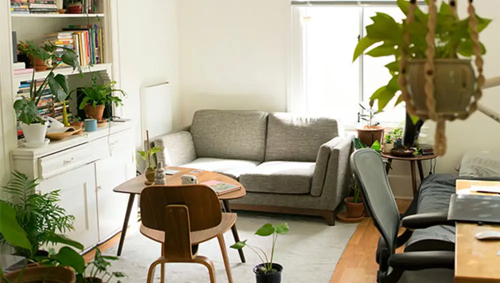 Entre las ventajas de llenar la casa de plantas, está el que refrescan el ambiente gracias a su proceso de transpiración.