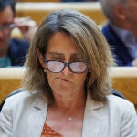 La vicepresidenta tercera y ministra para la Transición Ecológica y el Reto Demográfico, Teresa Ribera