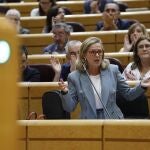 Nadia Calviño, en la sesión de control al Gobierno en el Senado