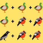 ¿Eres capaz de resolver estas operaciones en solo 10 segundos?