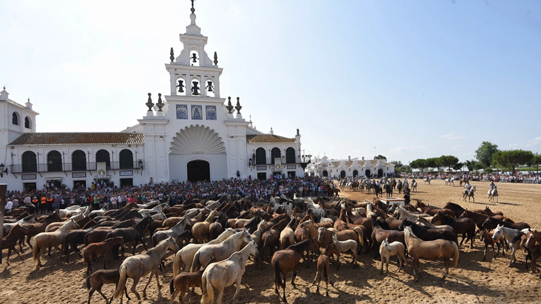 La Saca de las Yeguas