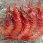Gamba roja de Águilas