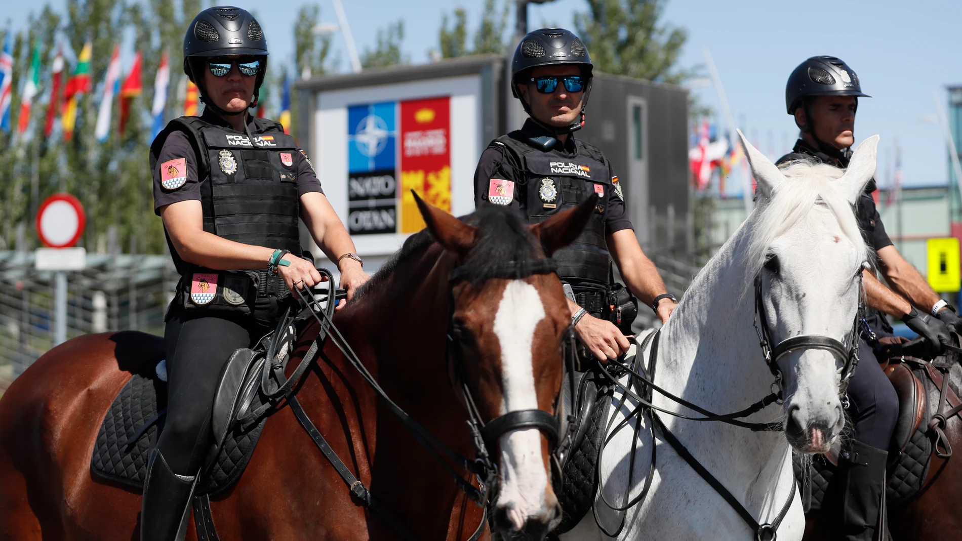 Dispositivos de seguridad de la Policía Nacional