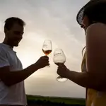 - La Ruta del Vino Ribera del Duero ha sido la segunda más visitada de España en 2021 con 197.145 turistas