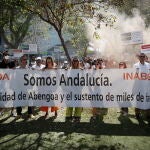 Los trabajadores de Abengoa han interrumpido sus protestas a la espera de la reunión del próximo lunes entre la Junta y el Gobierno