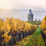 Entre copas (de vino) por el sur de la República Checa