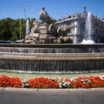 La fuente de la Cibeles y las flores sunpatiens rojas y blancas en el anillo que la rodea
