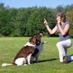 Una mujer entrena a sus dos perros haciendo sonar un silbato