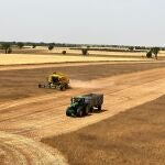 Cosecha de cereal en Castilla